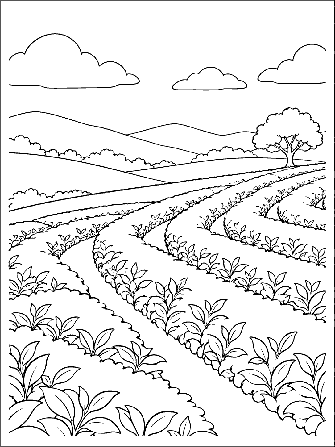 Black ink coloring page of curving tea bush rows on rolling hills with a distant shade tree and open sky.
