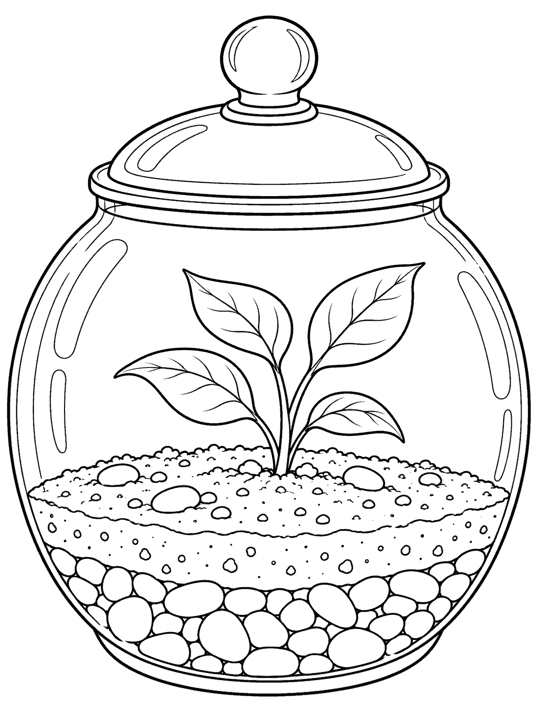 Round closed glass terrarium with layered soil, stones, and a leafy sprout coloring page