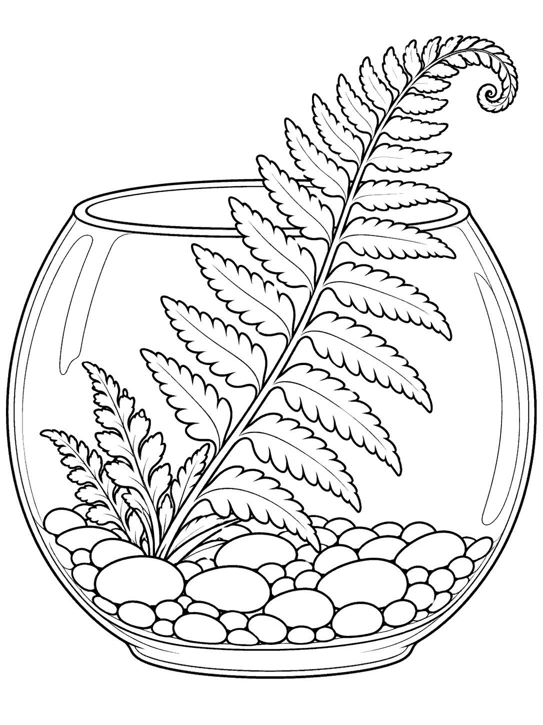 Open glass terrarium with a large curling fern frond and pebble layer, black and white coloring page