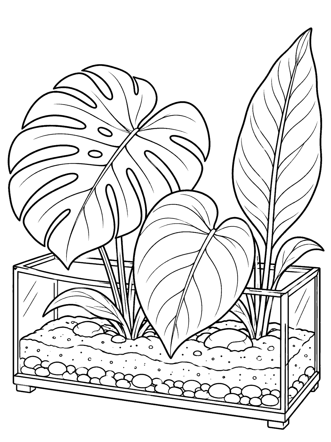 Shallow tropical terrarium with broad leaves coloring page