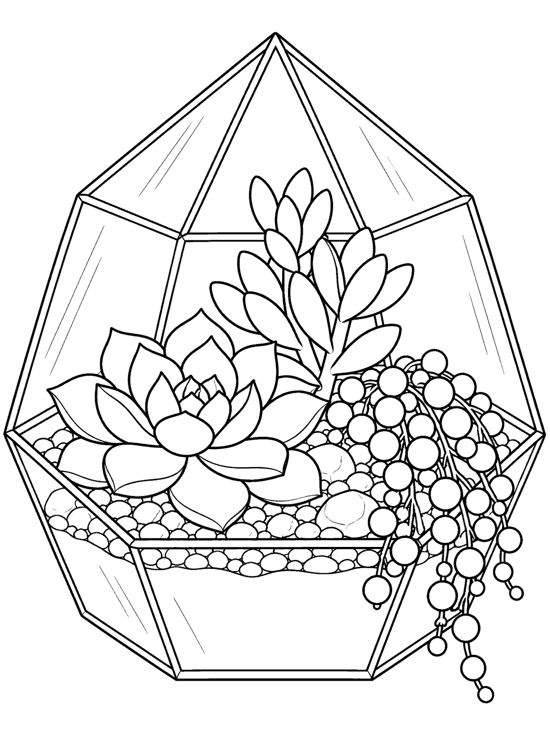 Black and white coloring page of a faceted glass terrarium holding a rosette succulent, an upright leafy cluster, and trailing bead-like stems.