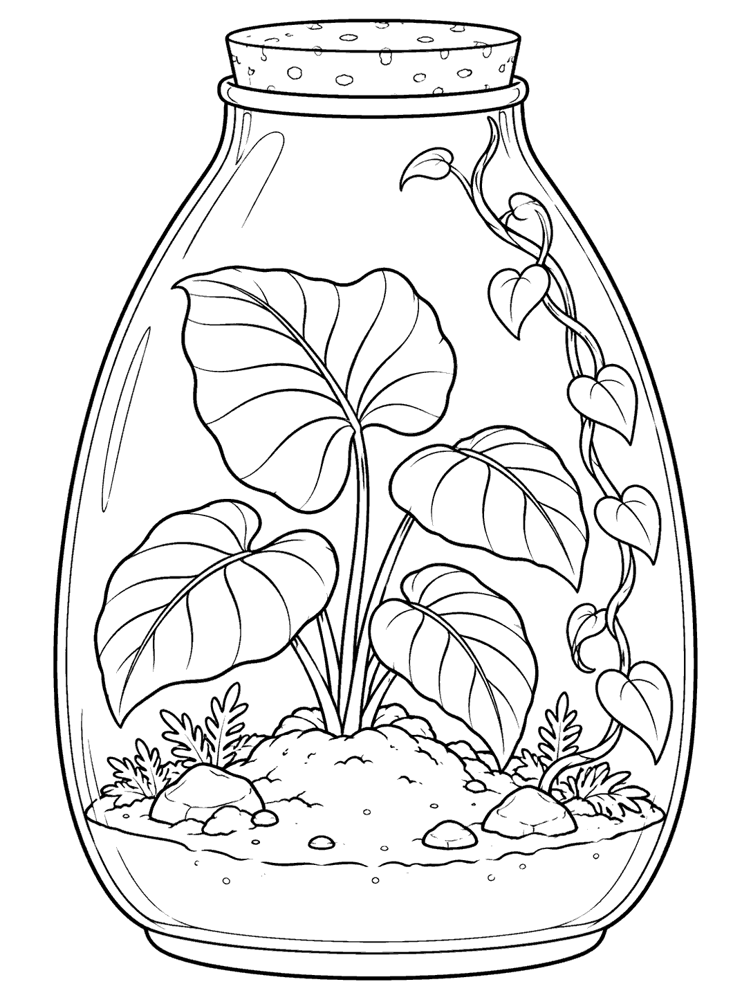 Black and white terrarium coloring page with broad-leaf plants and a curling vine inside a tall glass vessel
