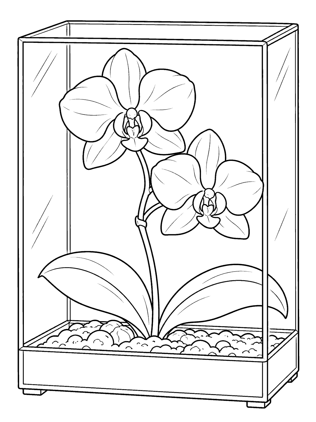 Glass orchid terrarium with two blossoms coloring page