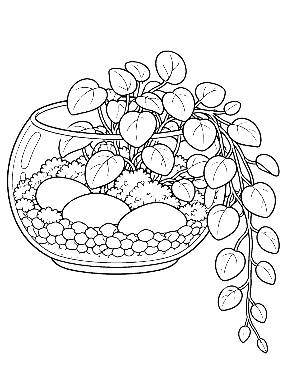 Low terrarium bowl with a leafy creeping plant trailing over one side, stones inside, and clear black outlines for coloring.