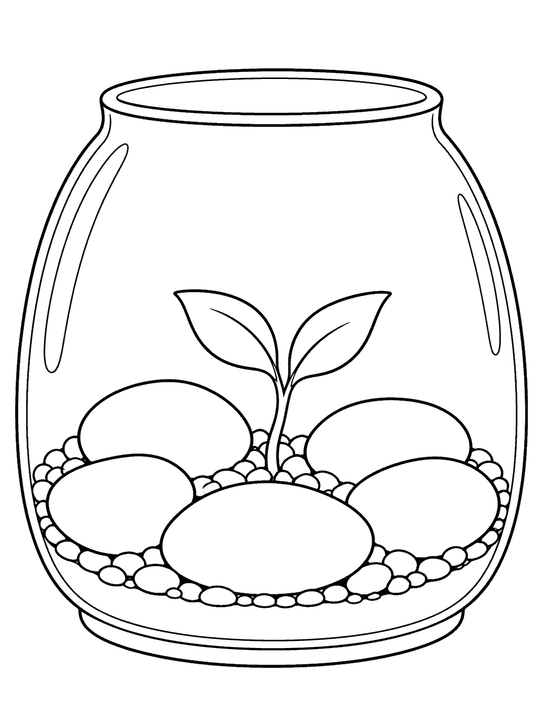 Open glass terrarium with five large pebbles, a two-leaf sprout, and a simple pebble base, drawn as a coloring page.