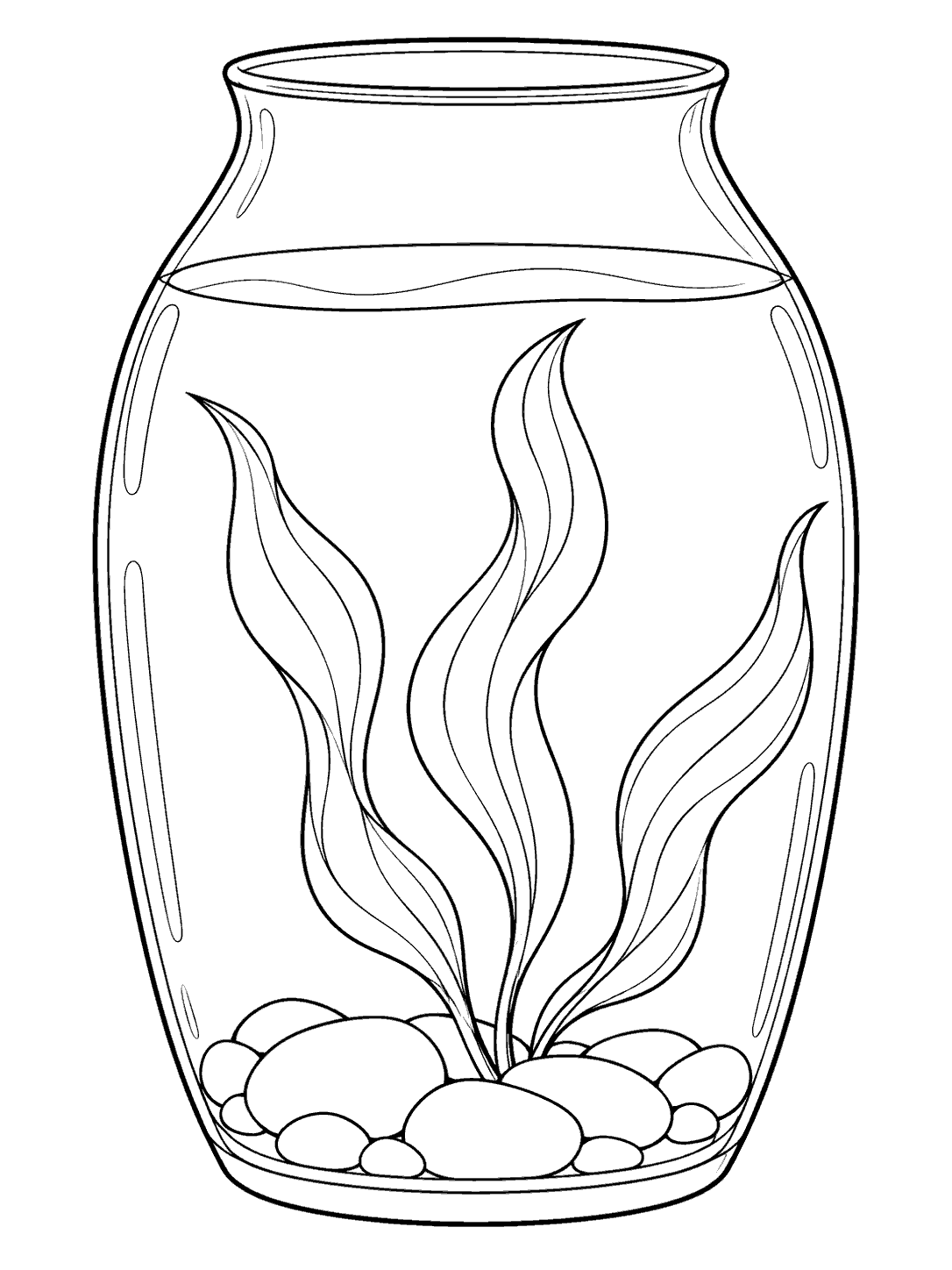 Open glass terrarium with three ribbon-like aquatic plants, a visible waterline, and rounded stones, drawn as a coloring page.