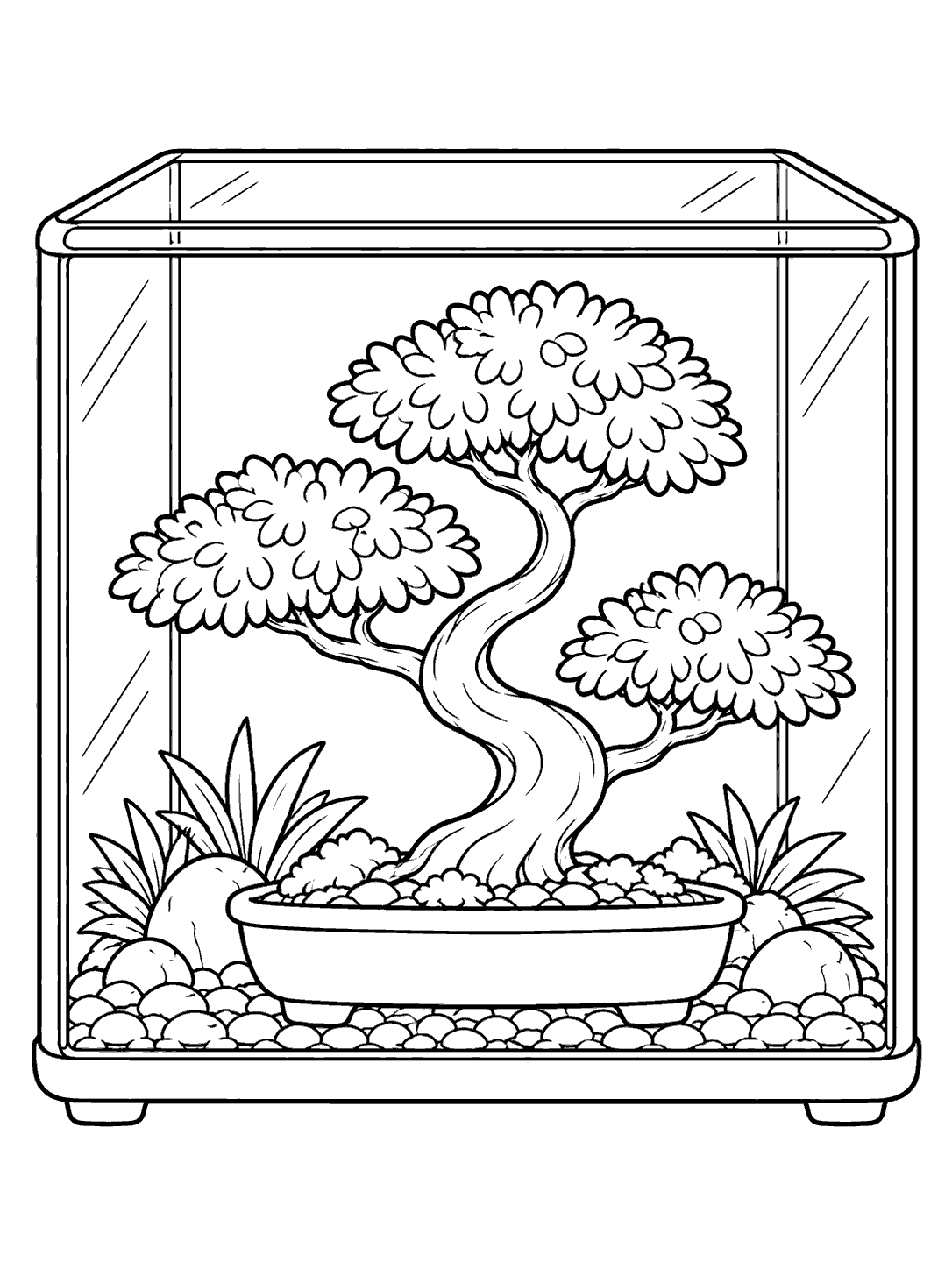 Compact glass terrarium with a curved-trunk bonsai, three foliage pads, and shallow pot coloring page.