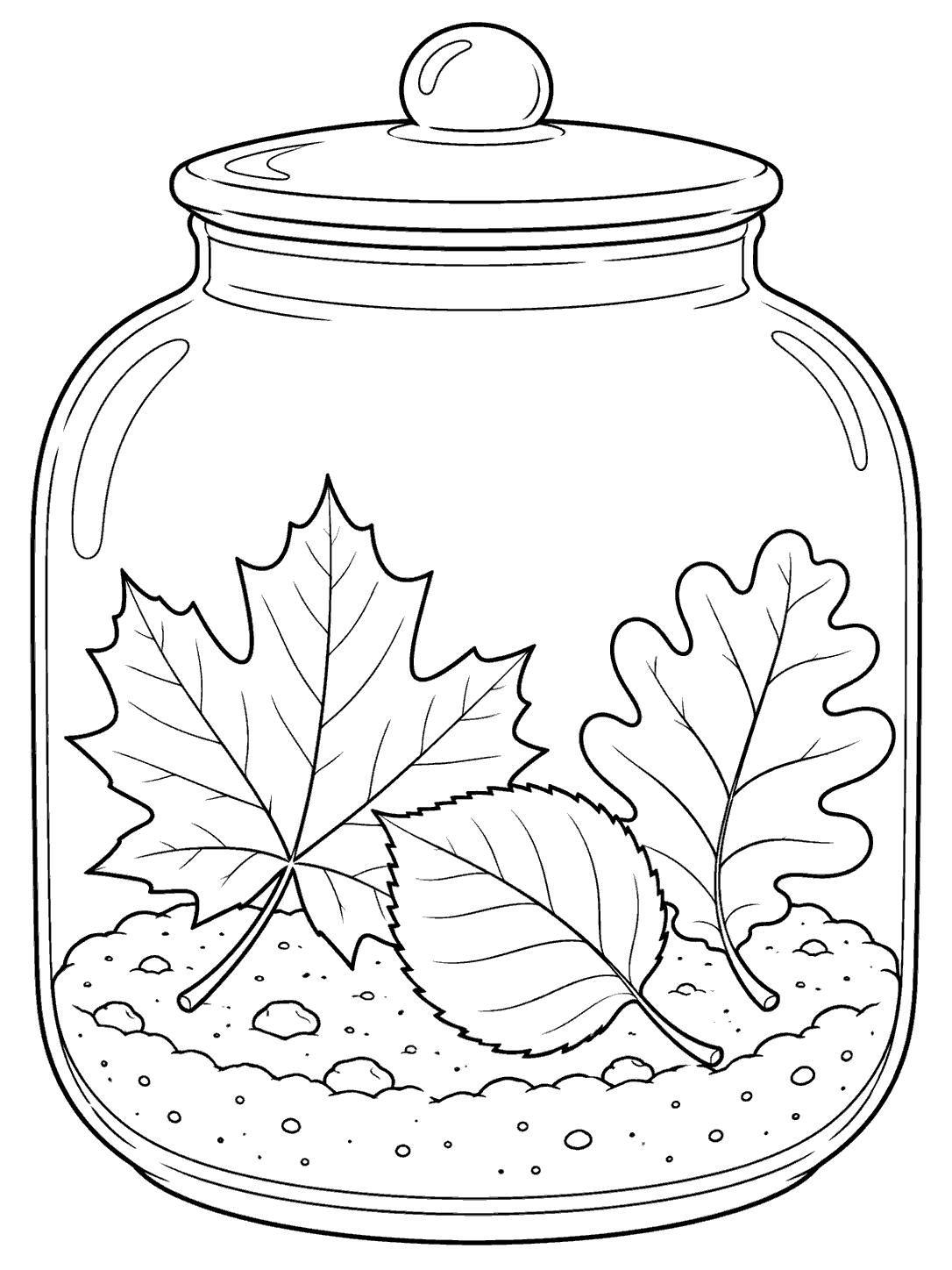Line art coloring page of a glass terrarium jar with maple, oak, and birch leaves resting on soil.