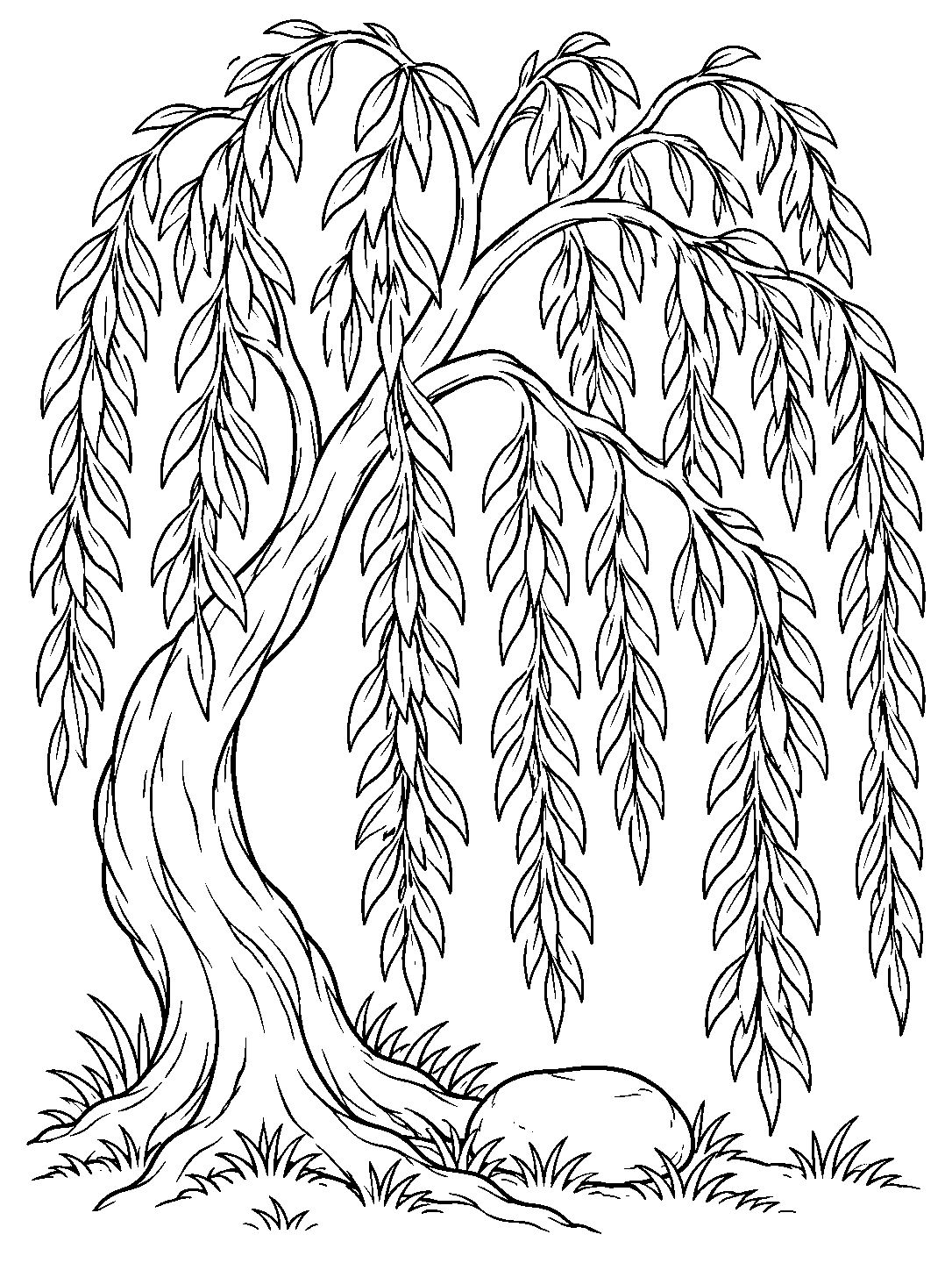 A portrait black-and-white coloring page showing a curved weeping willow with long hanging leaf clusters, exposed roots, and one smooth stone at its base.