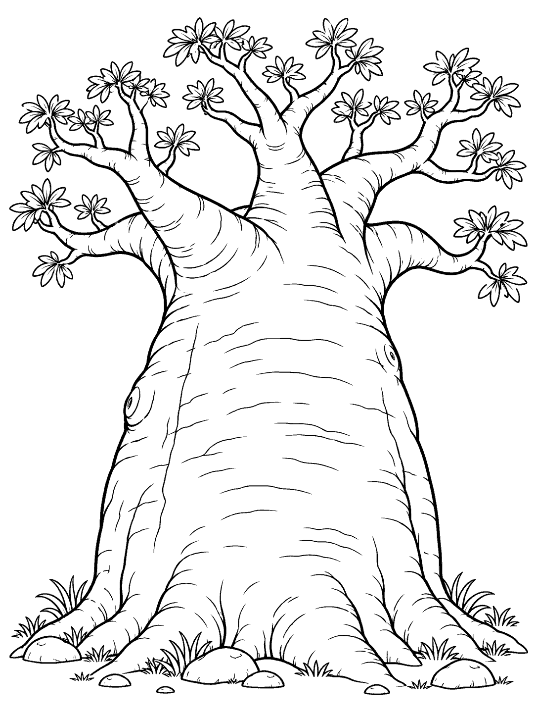 A baobab tree with a broad trunk, upward-reaching branches, leaf tufts, and stones at its base