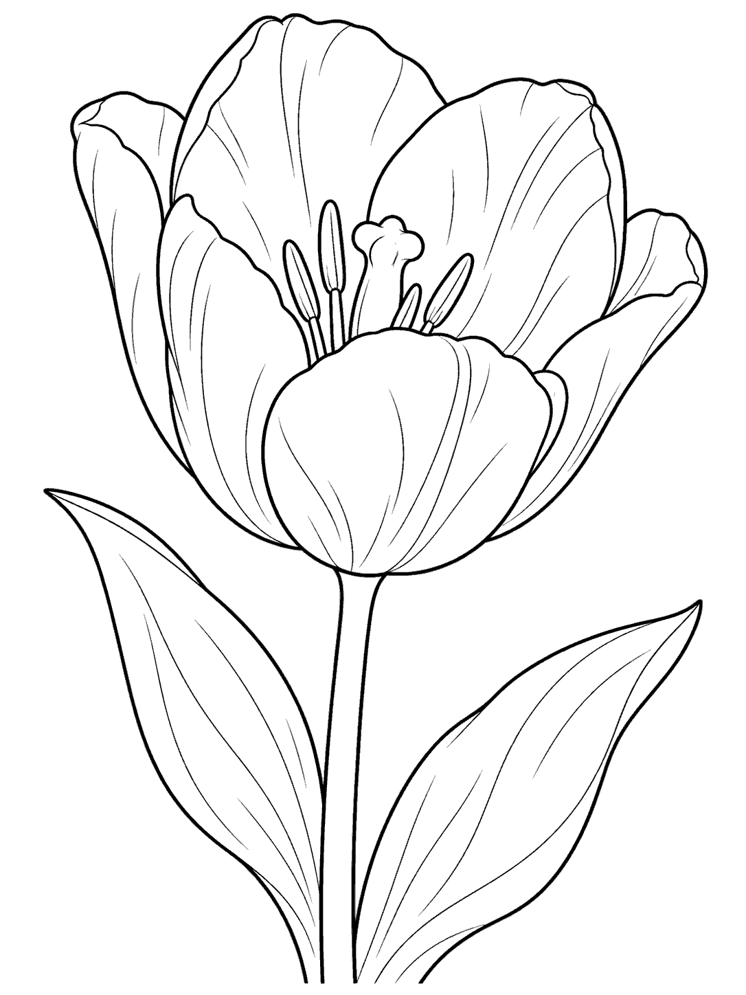 Black line art of a large open tulip with two broad leaves on a white page.