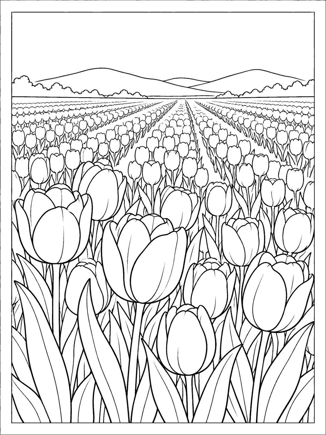 A tulip field coloring page with large foreground blooms, rows of tulips, and distant hills.