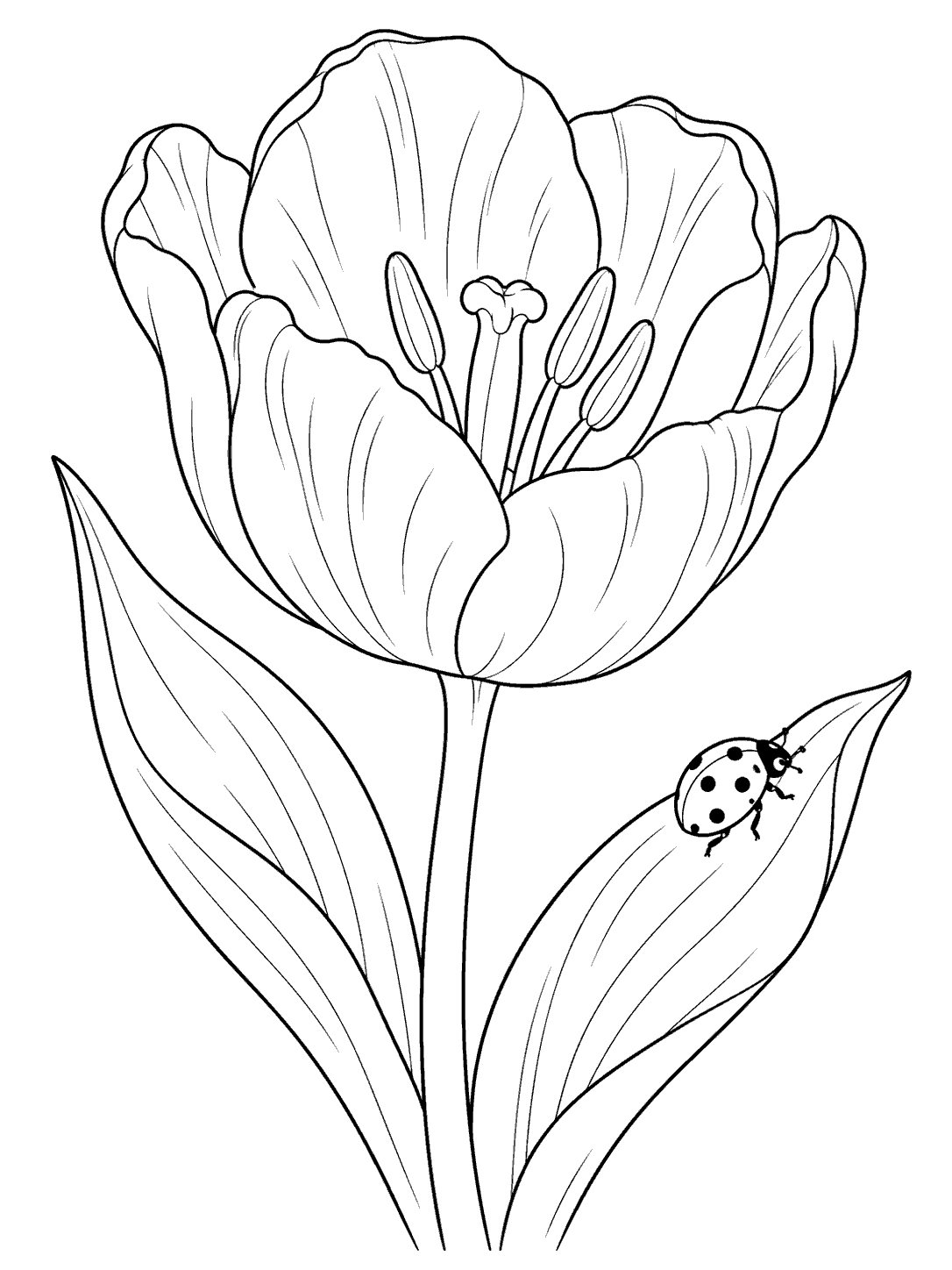 A large open tulip with two leaves and a spotted ladybug on one leaf, drawn as a coloring page.