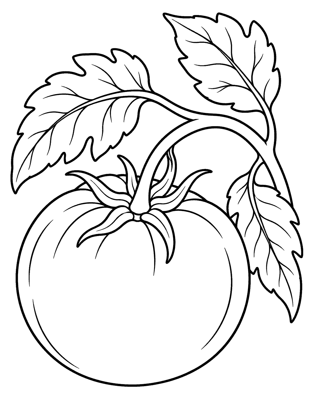 Tomato on a leafy vine coloring page