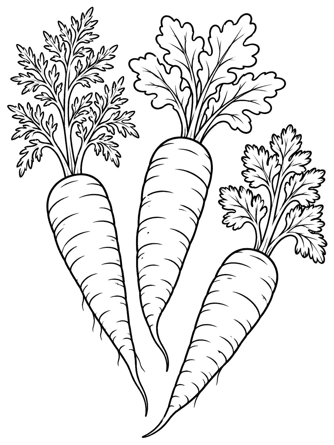 Three whole carrots at different angles, each with a leafy top, in a black-and-white coloring page.