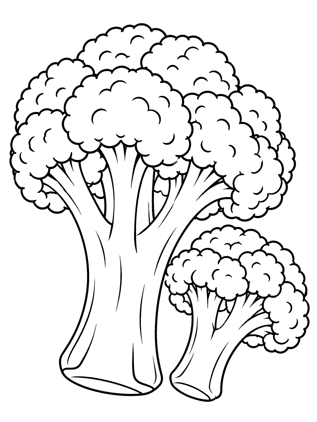 Large and small broccoli florets coloring page
