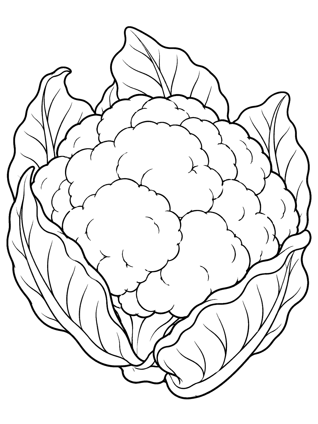 Large cauliflower head surrounded by broad leaves in a black-and-white coloring page