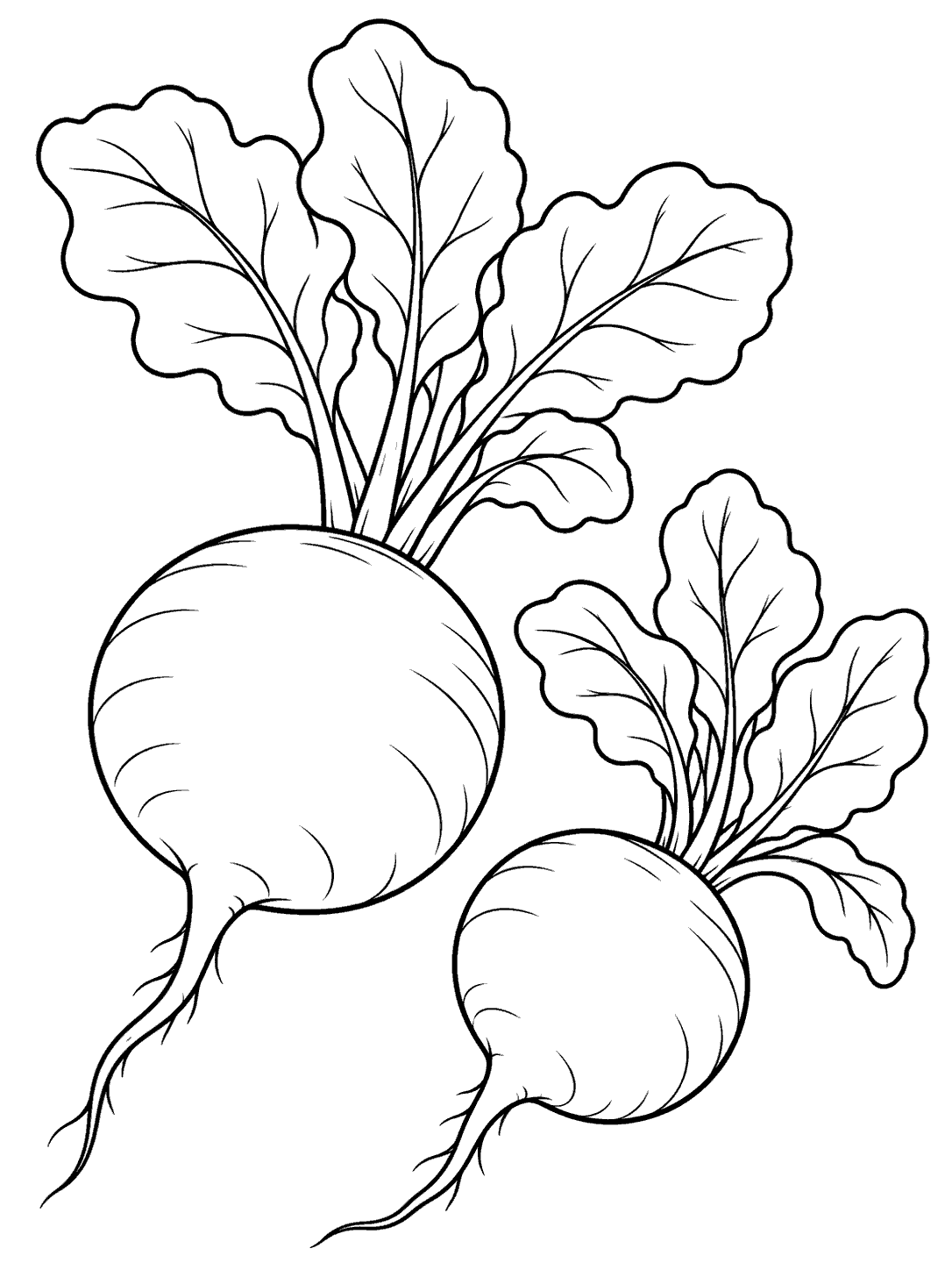 Two radishes with leafy stems coloring page