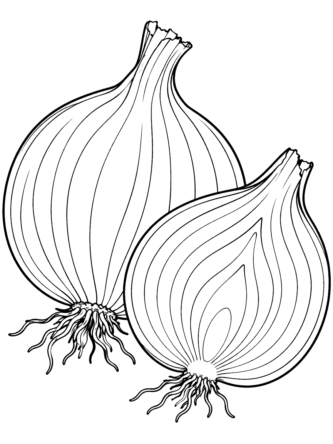 Whole onion beside an onion half with visible layers, drawn as a coloring page.