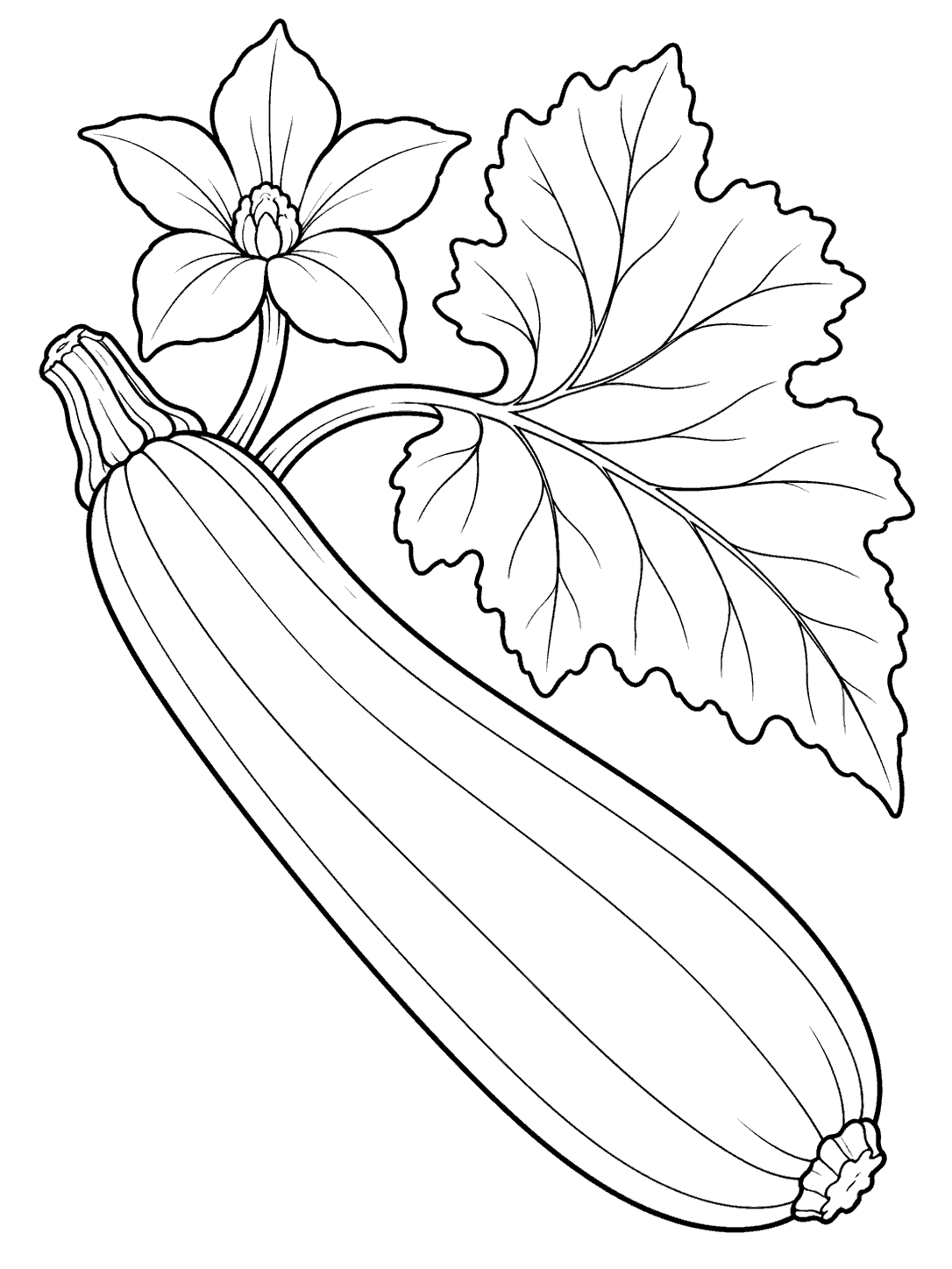 Black outline coloring page of a long zucchini with a five-petal blossom and large leaf