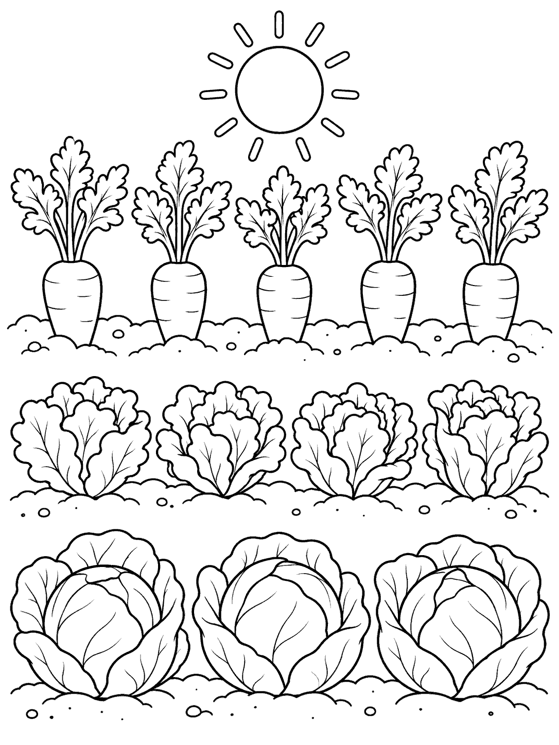 Black-and-white coloring page showing rows of carrots, leafy lettuce, and cabbage beneath a sun.