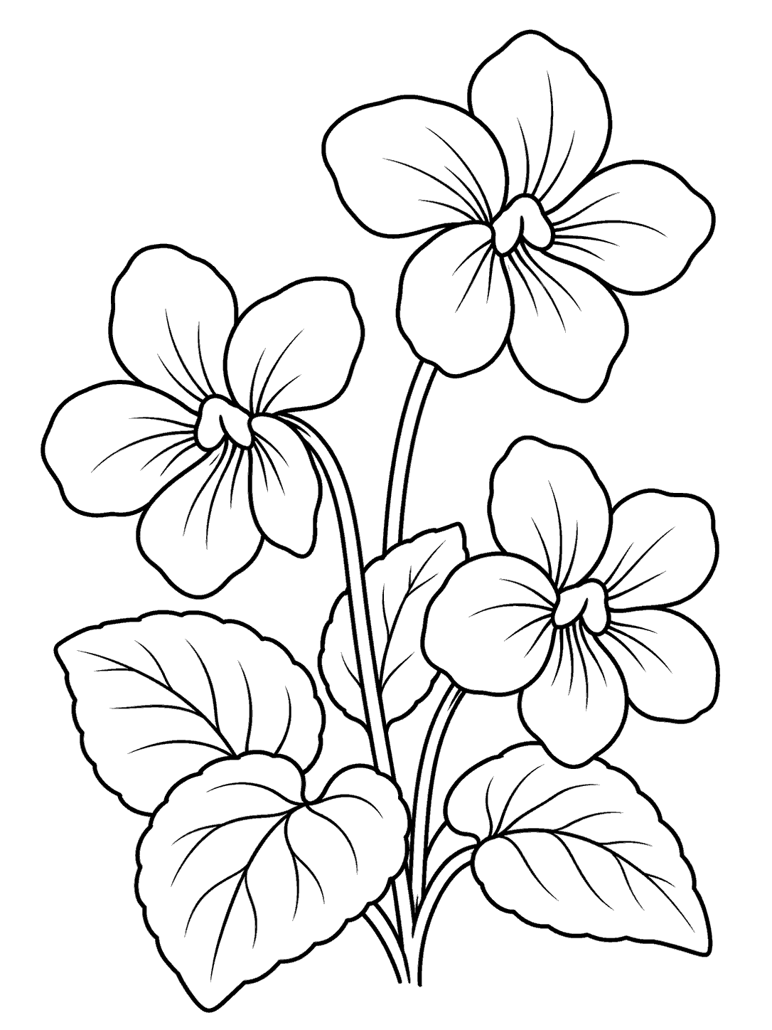 Printable black-and-white coloring page with three violet blossoms on stems and broad leaves.