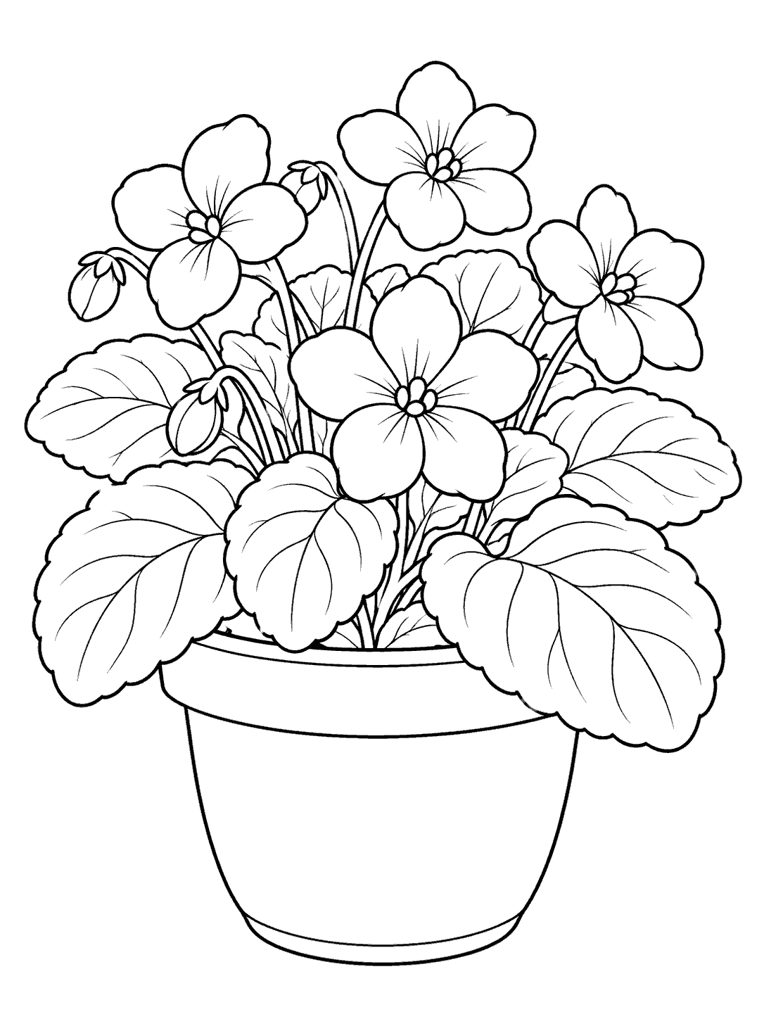 Potted violet plant printable coloring page with five-petal blooms and broad leaves