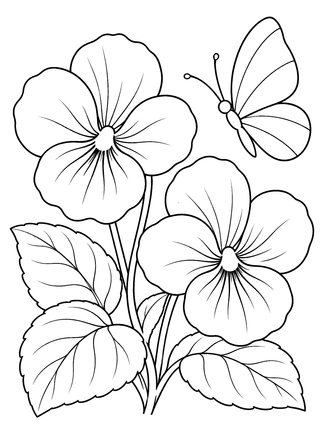 Black-outline coloring page of two large violet blossoms, leafy stems, and a butterfly with broad divided wings.