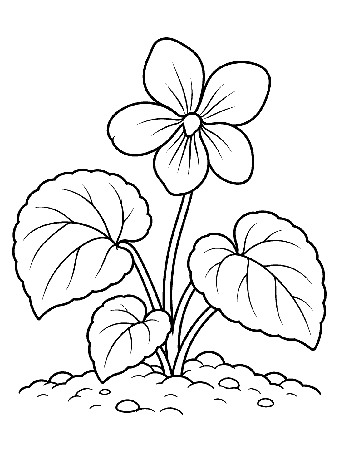 Young violet plant with heart-shaped leaves and a five-petal bloom, printable coloring page