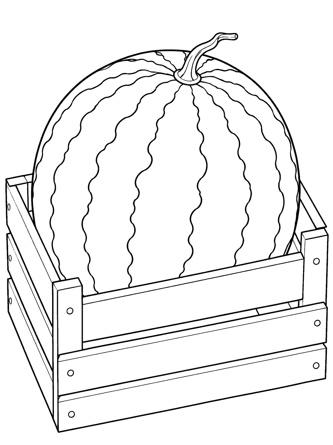Large striped watermelon with a curved stem nestled in an open wooden harvest crate, drawn as a black-and-white coloring page.