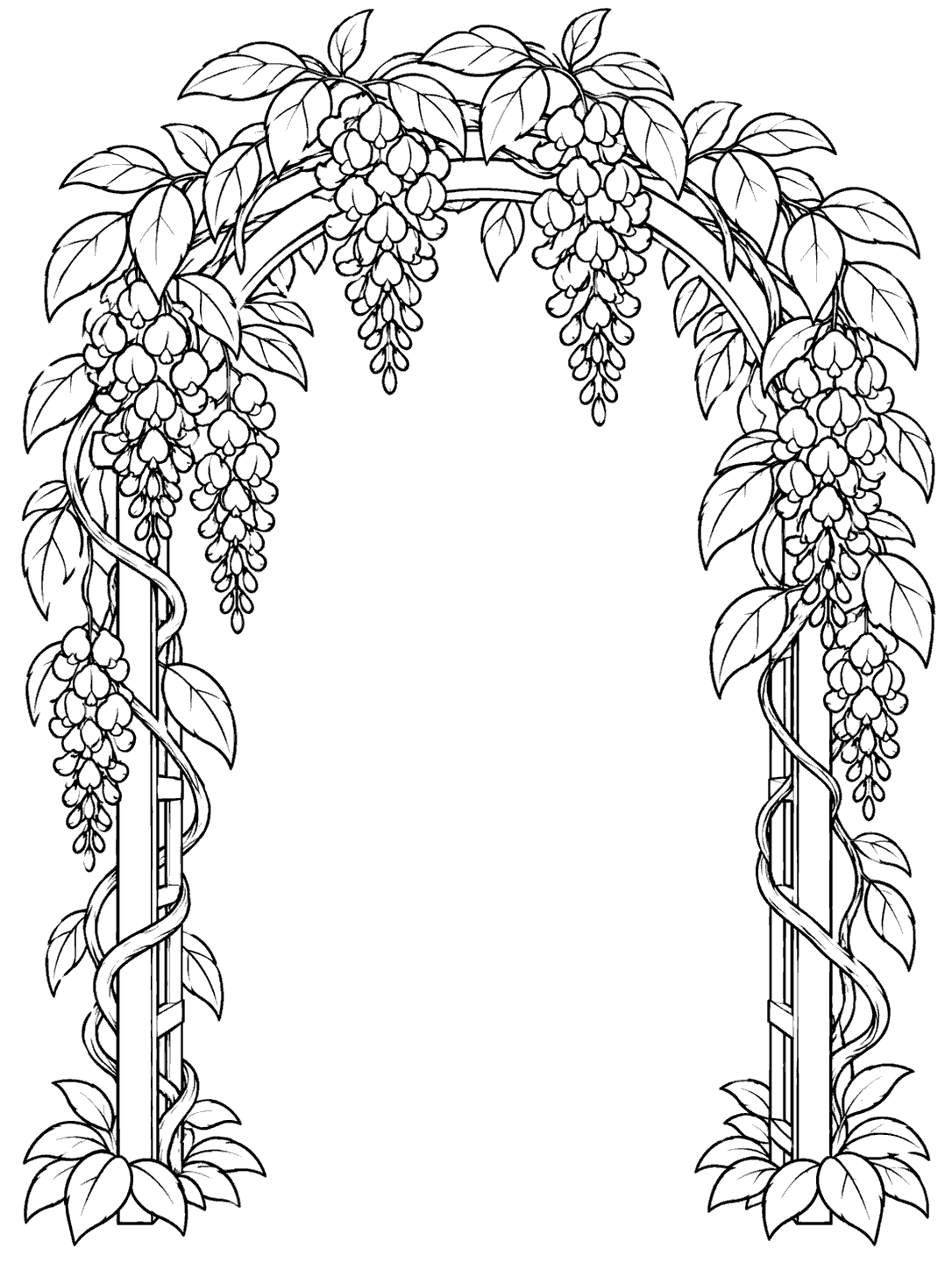Black-and-white wisteria garden arch coloring page with hanging flower clusters and leaves