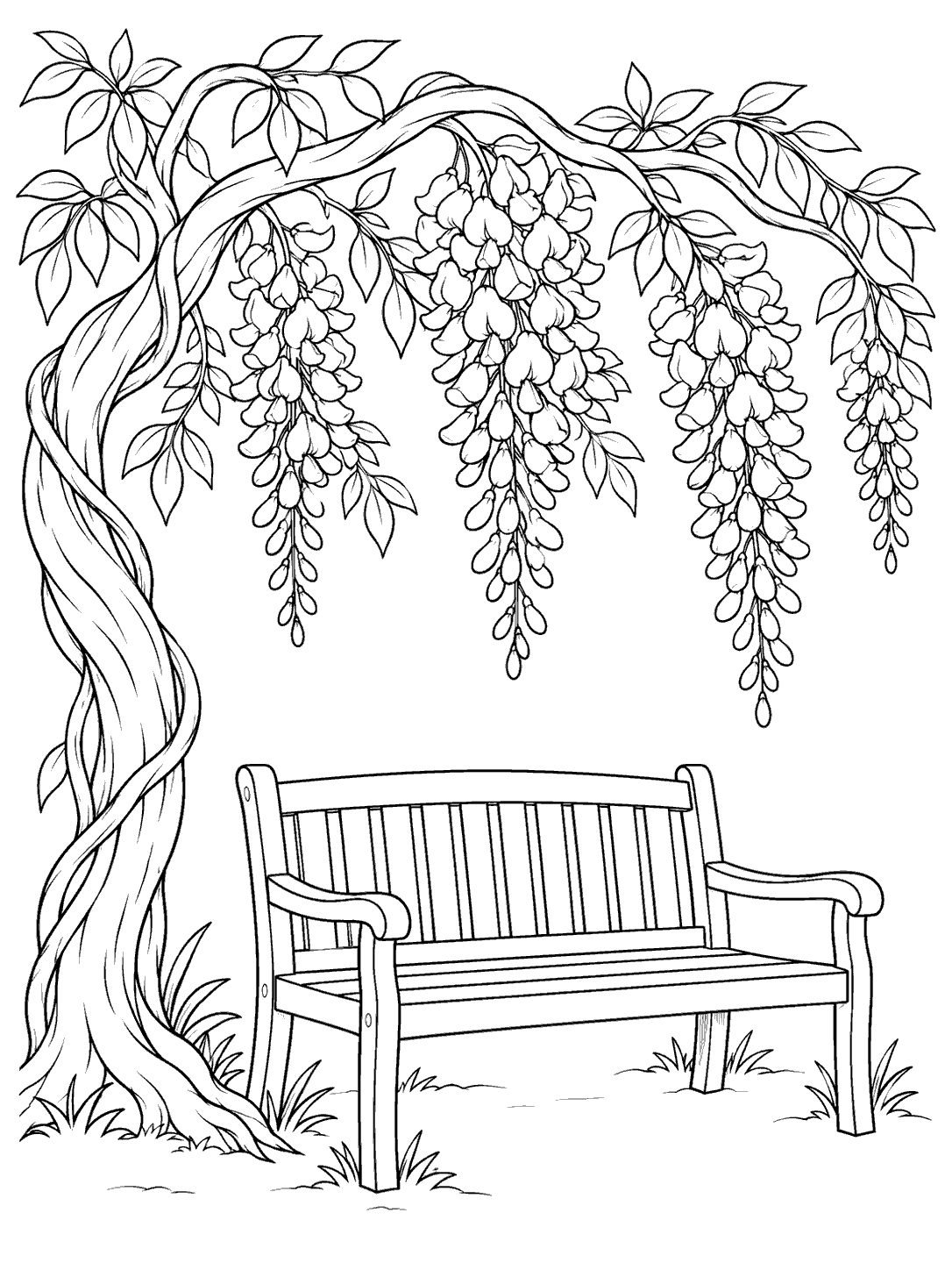 Black ink wisteria coloring page with hanging flower clusters, leafy branches, and an empty garden bench.