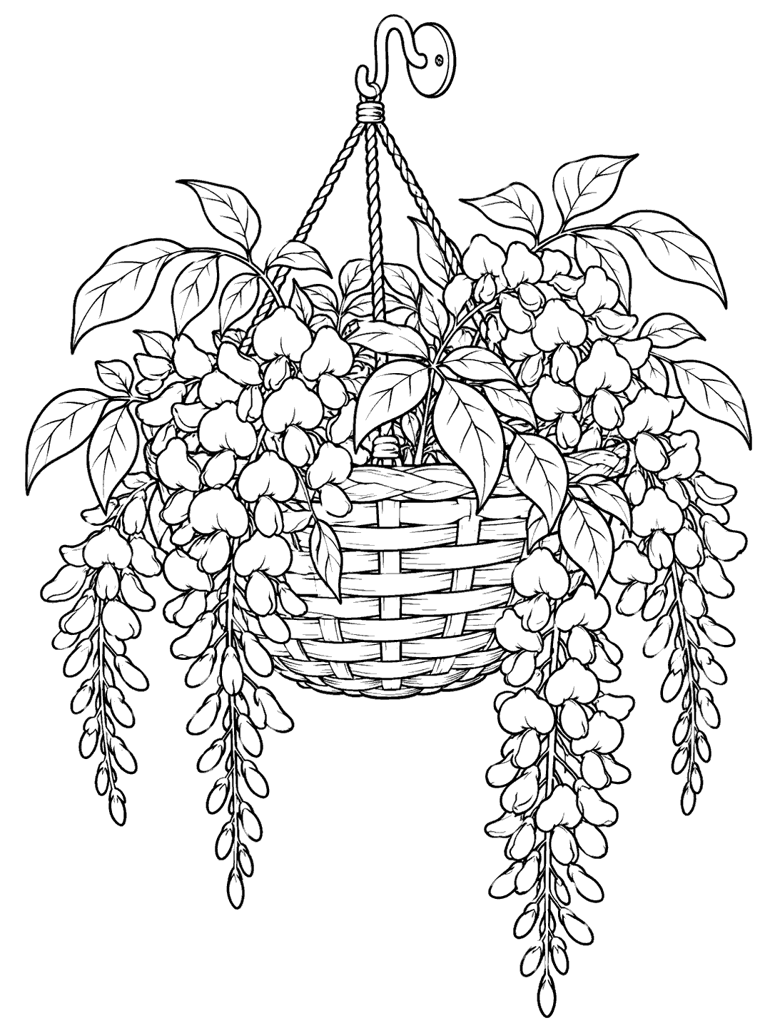 Black-and-white coloring page of a woven hanging basket filled with wisteria, suspended from a hook.