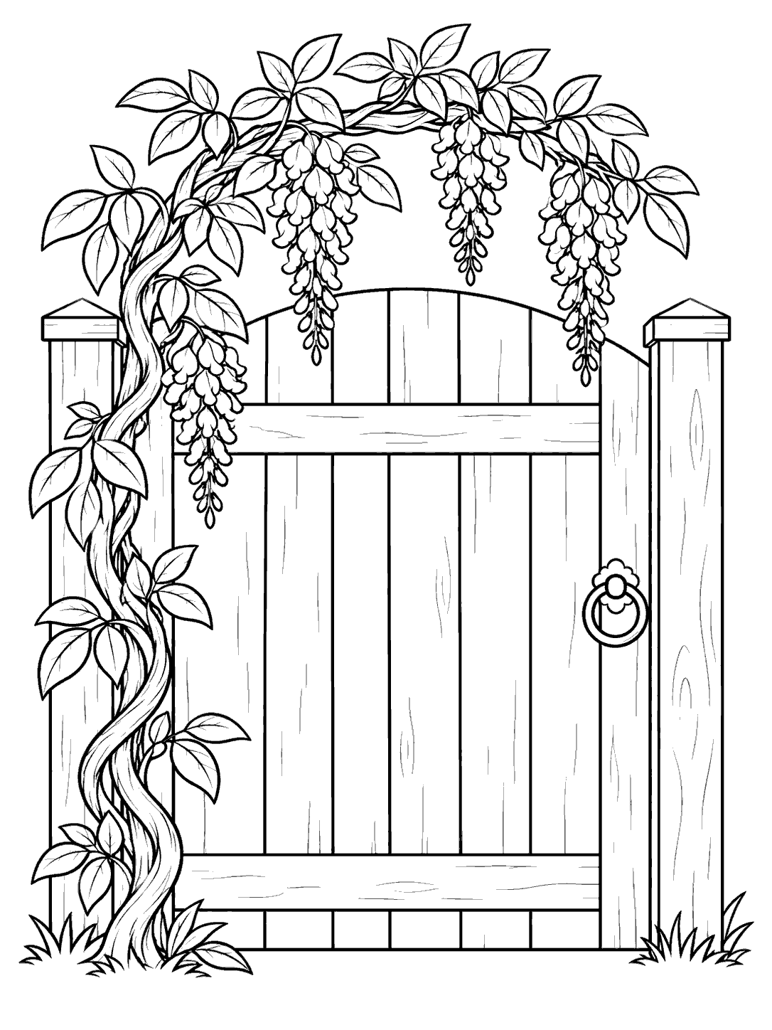 Wisteria garden gate coloring page