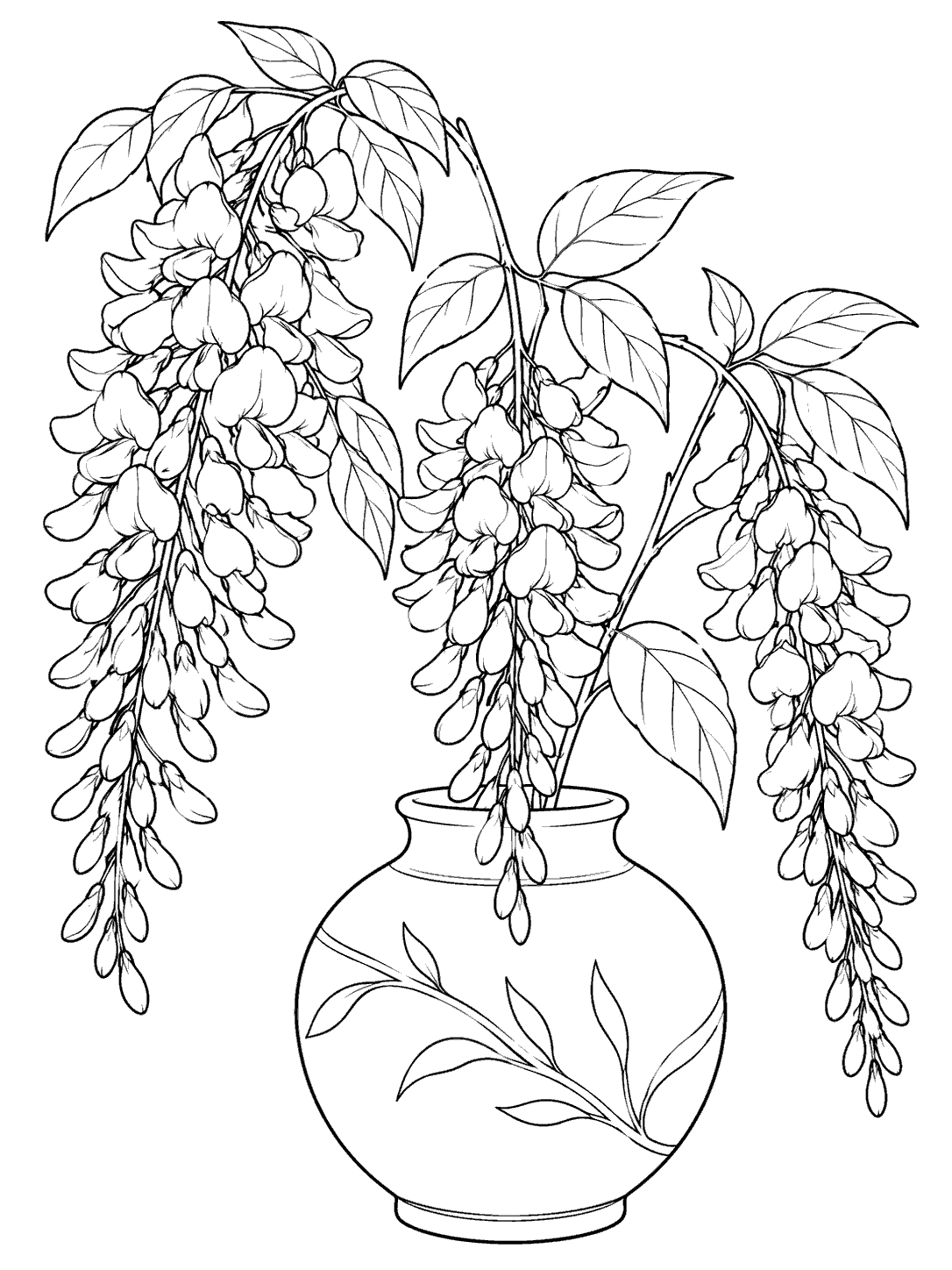 Wisteria coloring page with three pendant flower clusters arranged in a rounded ceramic vase.