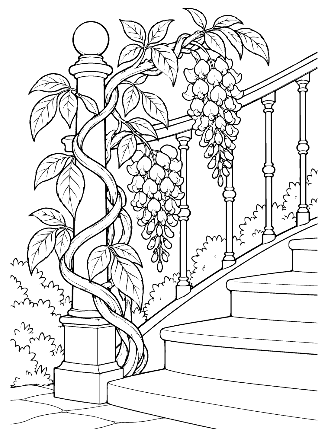 Black-and-white coloring page of a wisteria vine winding around a stair newel post, with two hanging clusters, broad leaves, and curved steps.