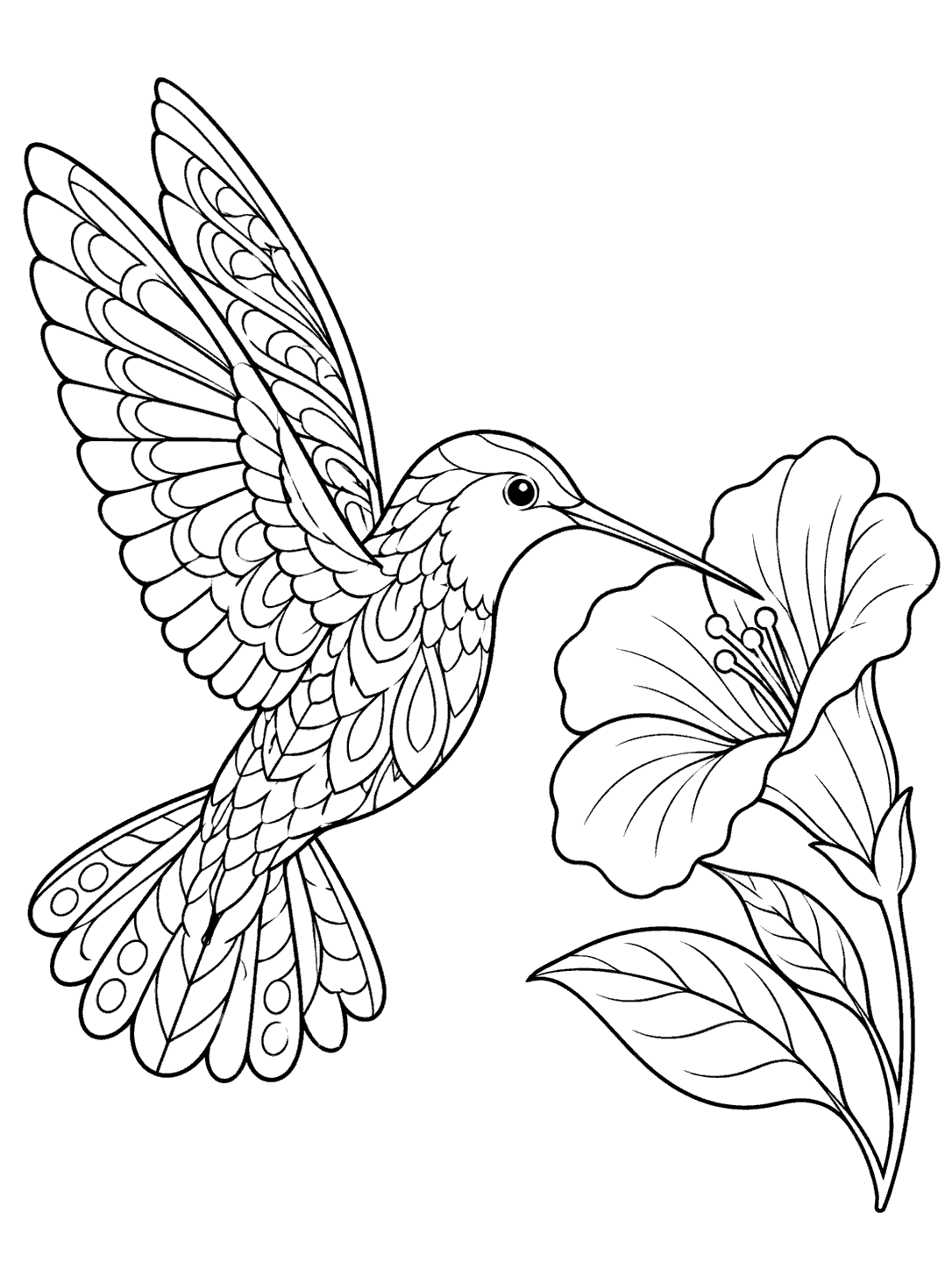 Black outline zentangle coloring page showing a hummingbird with patterned raised wings and fanned tail hovering beside a blossom.