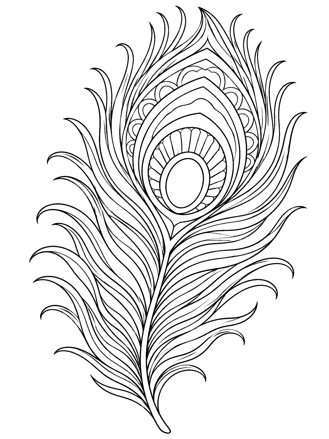 Zentangle peacock feather coloring page with a prominent oval eye and flowing line patterns