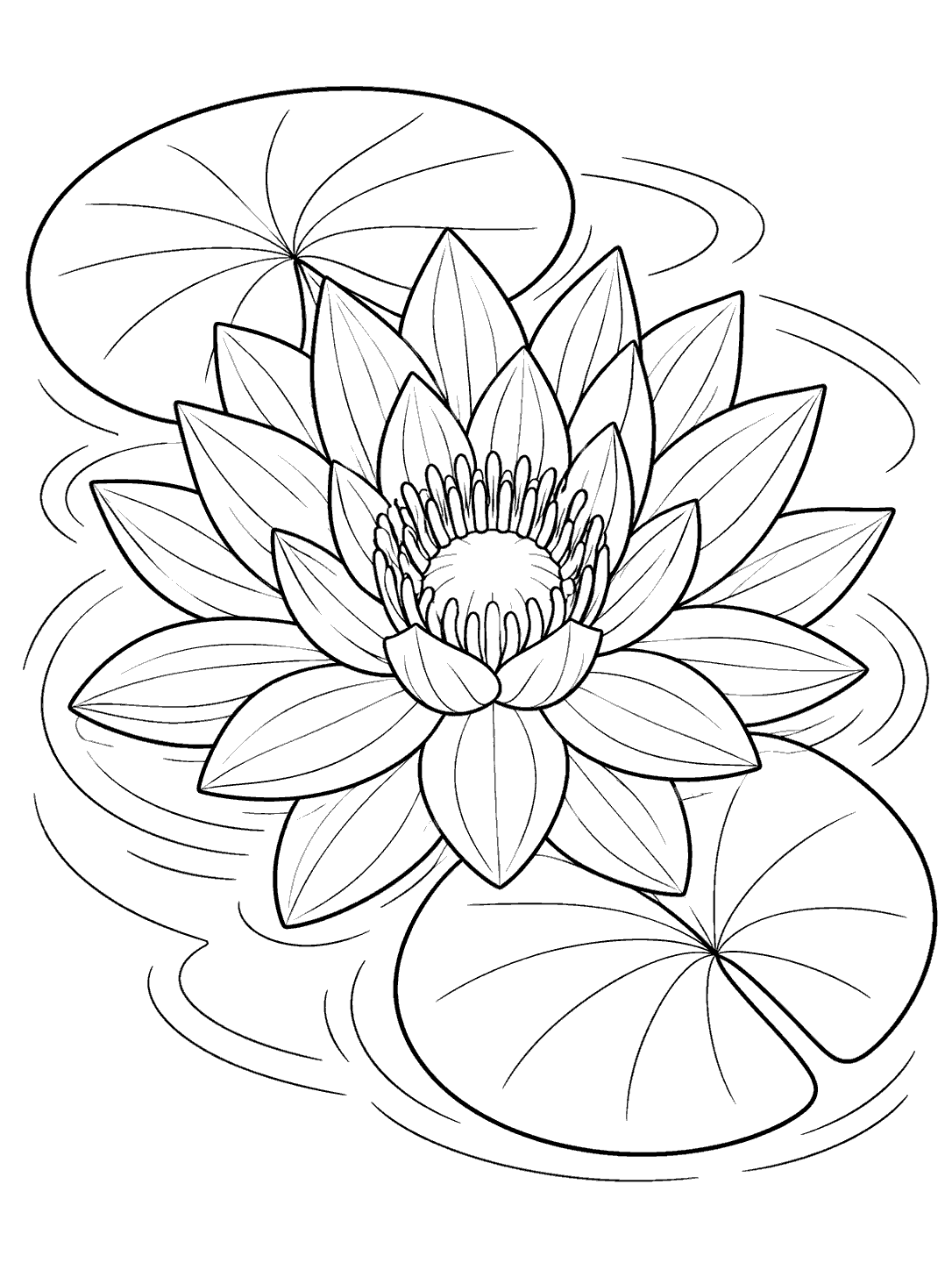 Zentangle water lily coloring page with layered petals and two lily pads