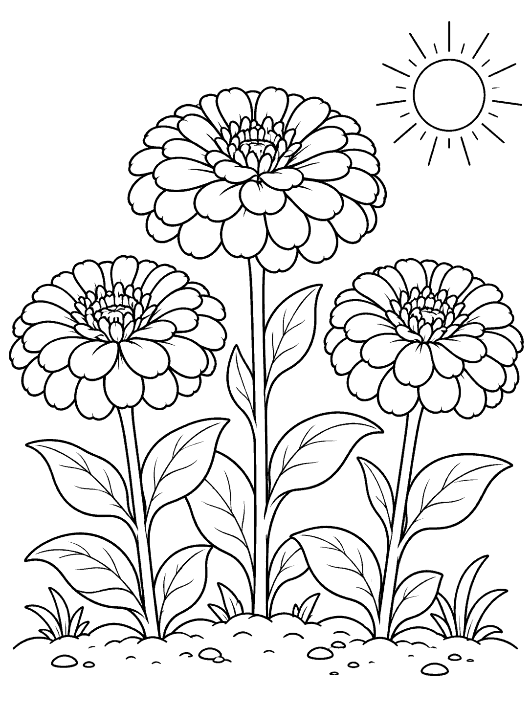 Printable black and white outline of three zinnias with broad leaves growing in a garden bed beneath a sun.