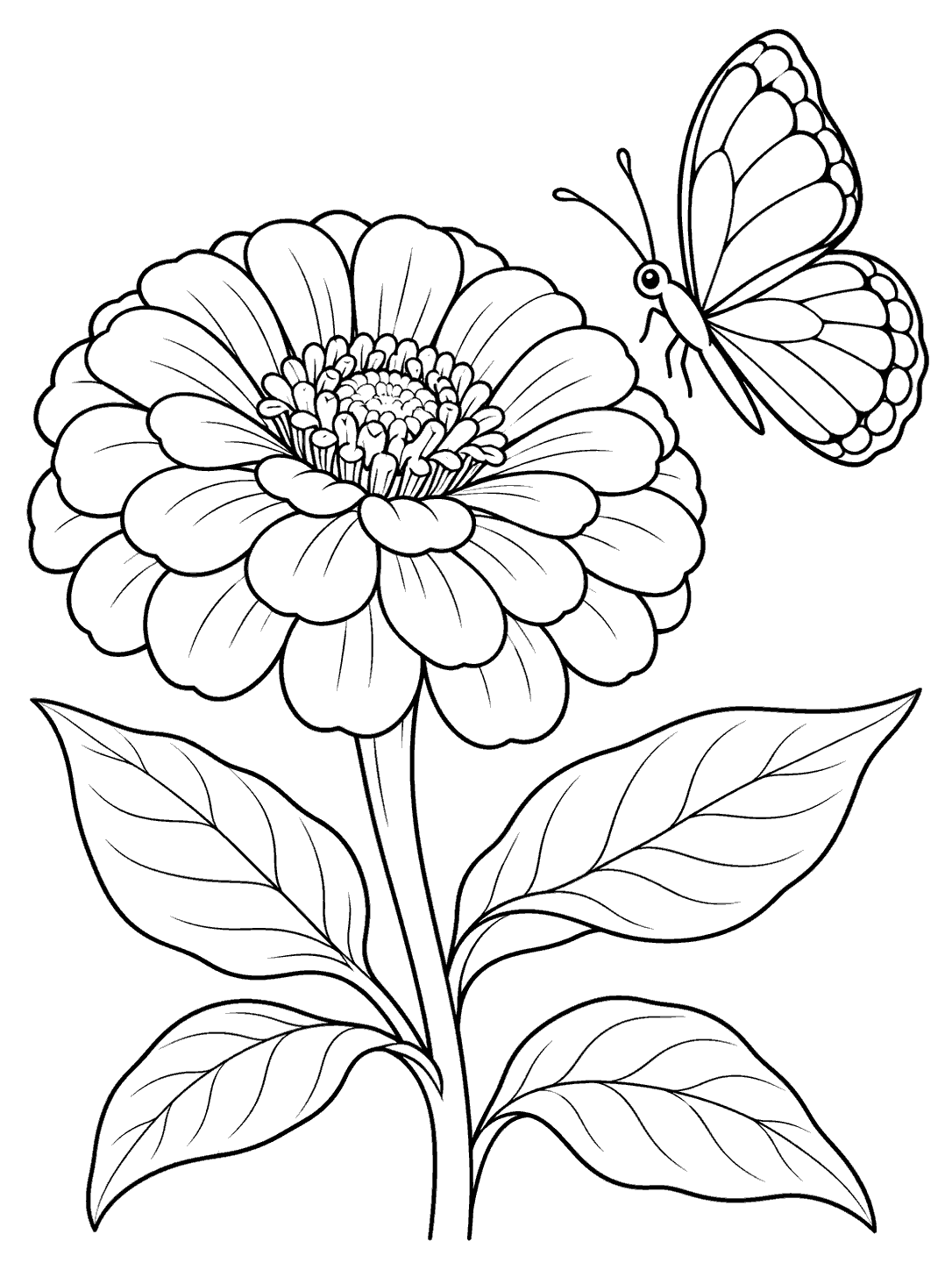 Black outline coloring page of a large zinnia on a leafy stem with a butterfly beside it.