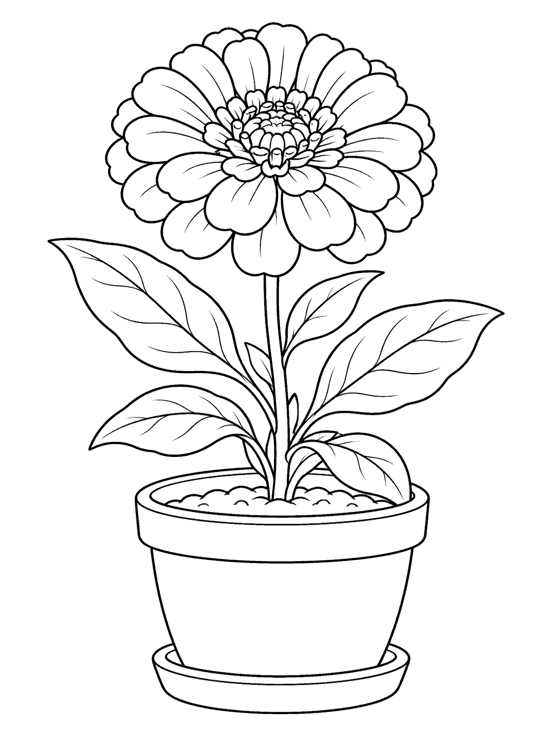 Black outline coloring page of a large zinnia with several leaves in a rounded planter and saucer.