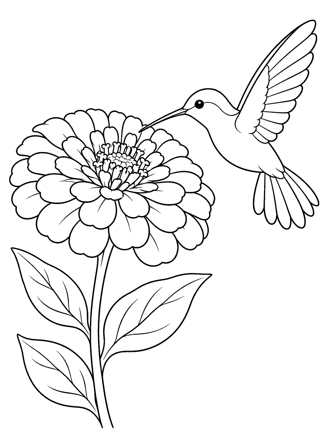 Black outline coloring page of a hummingbird hovering beside a large zinnia on a leafy stem.
