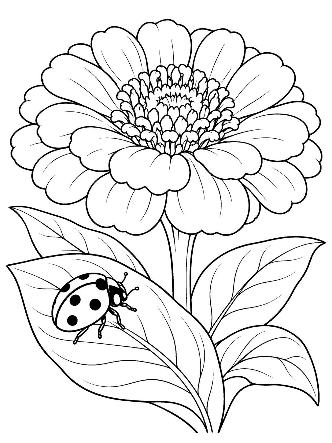 Black outline coloring page showing a central zinnia with broad leaves and a spotted ladybug perched on the foreground leaf.