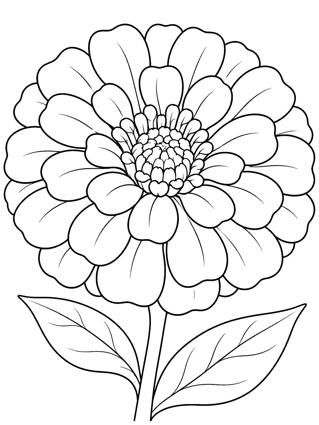 Printable black outline of a large layered zinnia bloom with two leaves and a long stem.